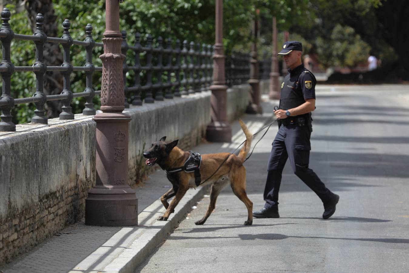 Miembros de la Policía Local y Nacional así como equipos de la Guardia Civil han tomado Sevilla para la Cumbre de la ONU