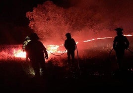 La Junta desactiva la fase de emergencia del incendio en El Garrobo