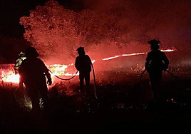 El Infoca da por controlado esta tarde el incendio que se declaró el lunes en la Cañada Redonda en El Garrobo