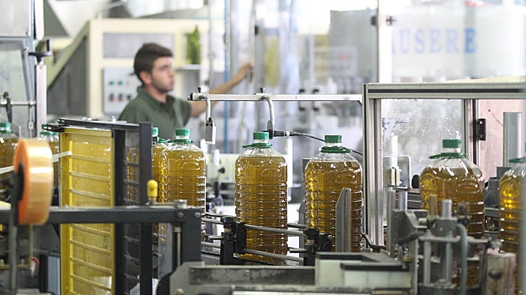 Industria oleícola andaluza