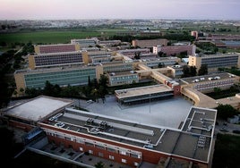 La universidad Pablo de Olavide busca trabajadores para el próximo curso: todas las ofertas disponibles