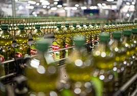 La aceitera Deoleo emite cinco millones en bonos para empezar a pagar su multa en Italia