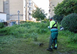 Mairena del Aljarafe da un primer paso para solucionar los problemas de jardinería y amplía el servicio por 913.000 euros