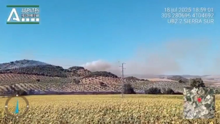Controlados los incendios de Morón y Aznalcázar