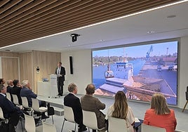 El Puerto de Sevilla invertirá cinco millones de euros en ampliar la infraestructura eléctrica de Palmas Altas