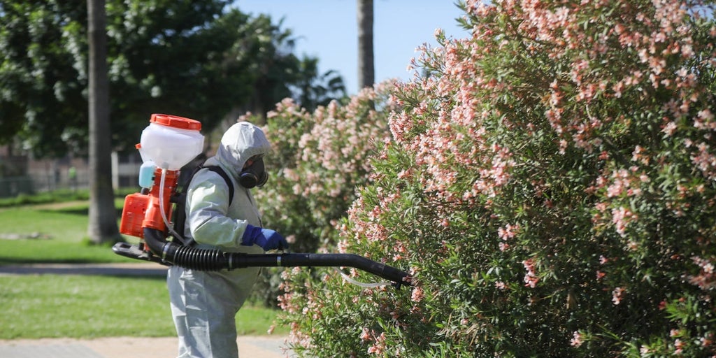 El Ayuntamiento de Sevilla realiza un centenar de actuaciones en los parques de la ciudad contra el virus del Nilo
