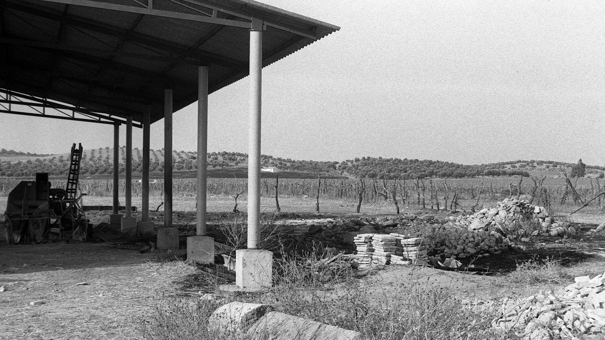 En este cortijo de Paradas, apareció el cadáver de Manuel Zapata, el capataz y principal sospechoso de la muerte de las otras cuatro personas que fueron halladas en la misma finca. Zapata, que fue encontrado con la cabeza destrozada a golpes, murió el mismo día, que los otros cuatro trabajadores y, con él, las claves de unos de los crímenes que más conmocionaron a la sociedad española