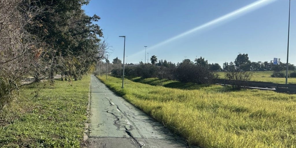 El Ayuntamiento de Sevilla invertirá dos millones en el carril bici de Su Eminencia y Bellavista