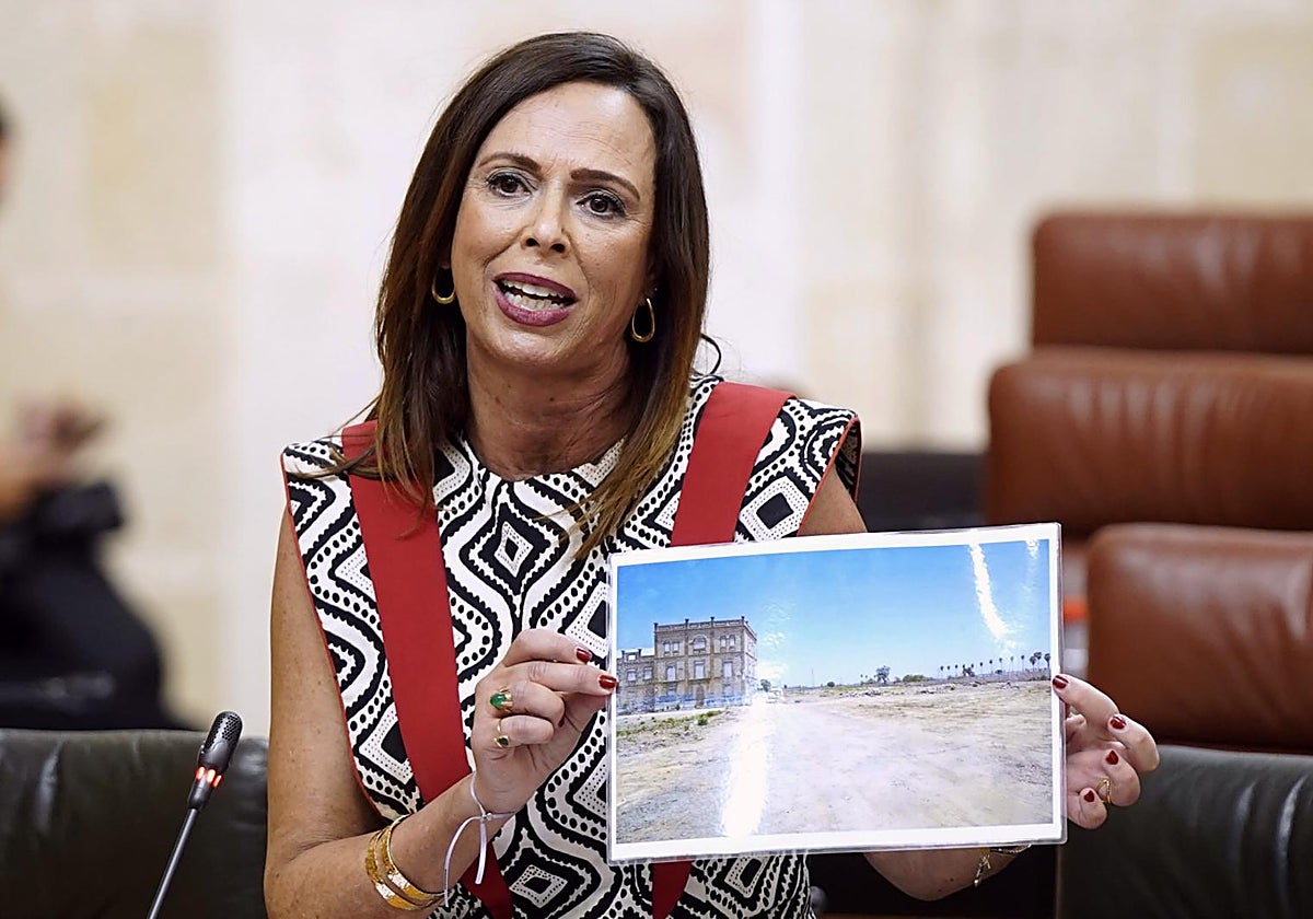 La consejera Rocío Díaz, en el pleno del Parlamento andaluz