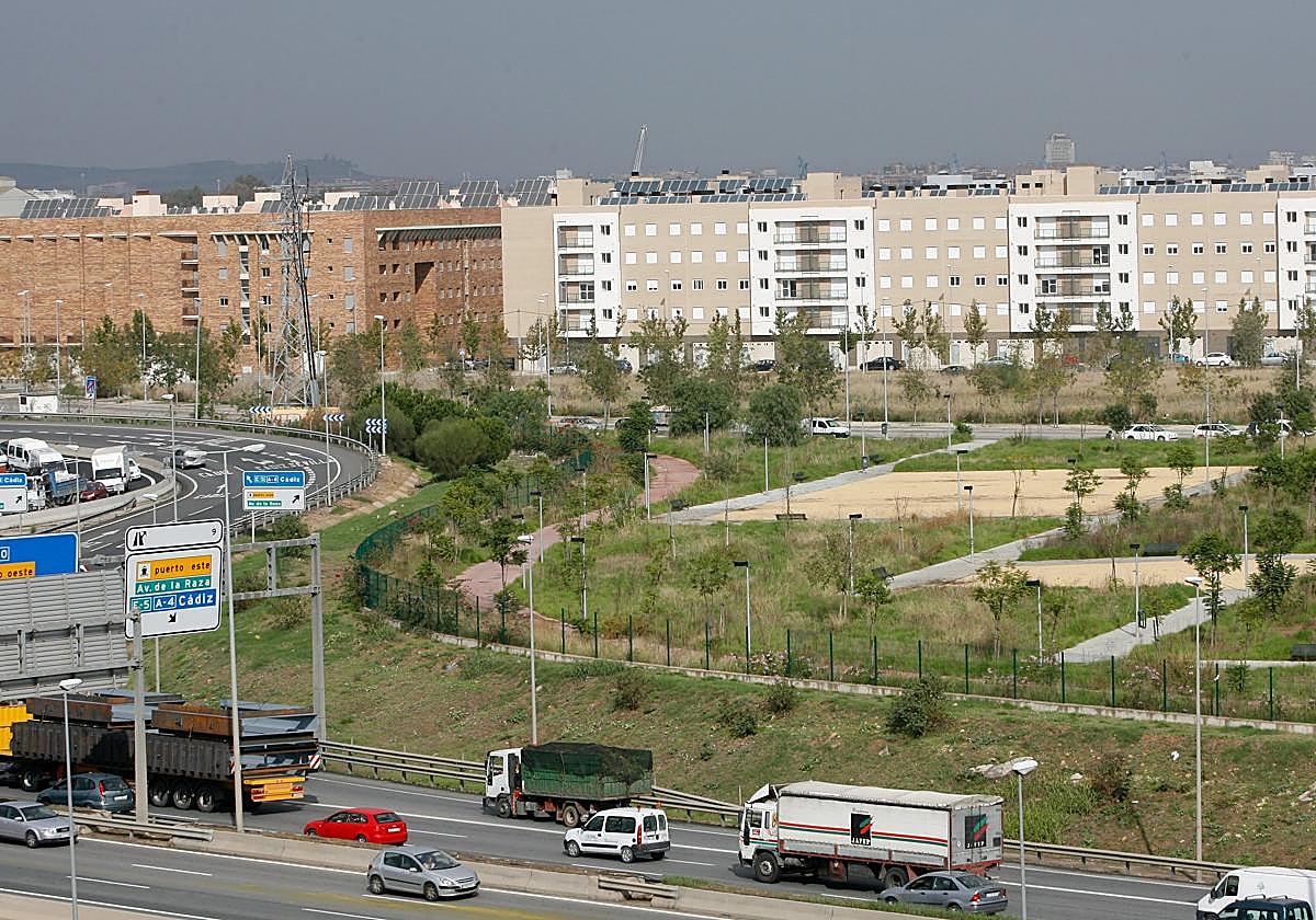 Imagen de archivo de Palmas altas