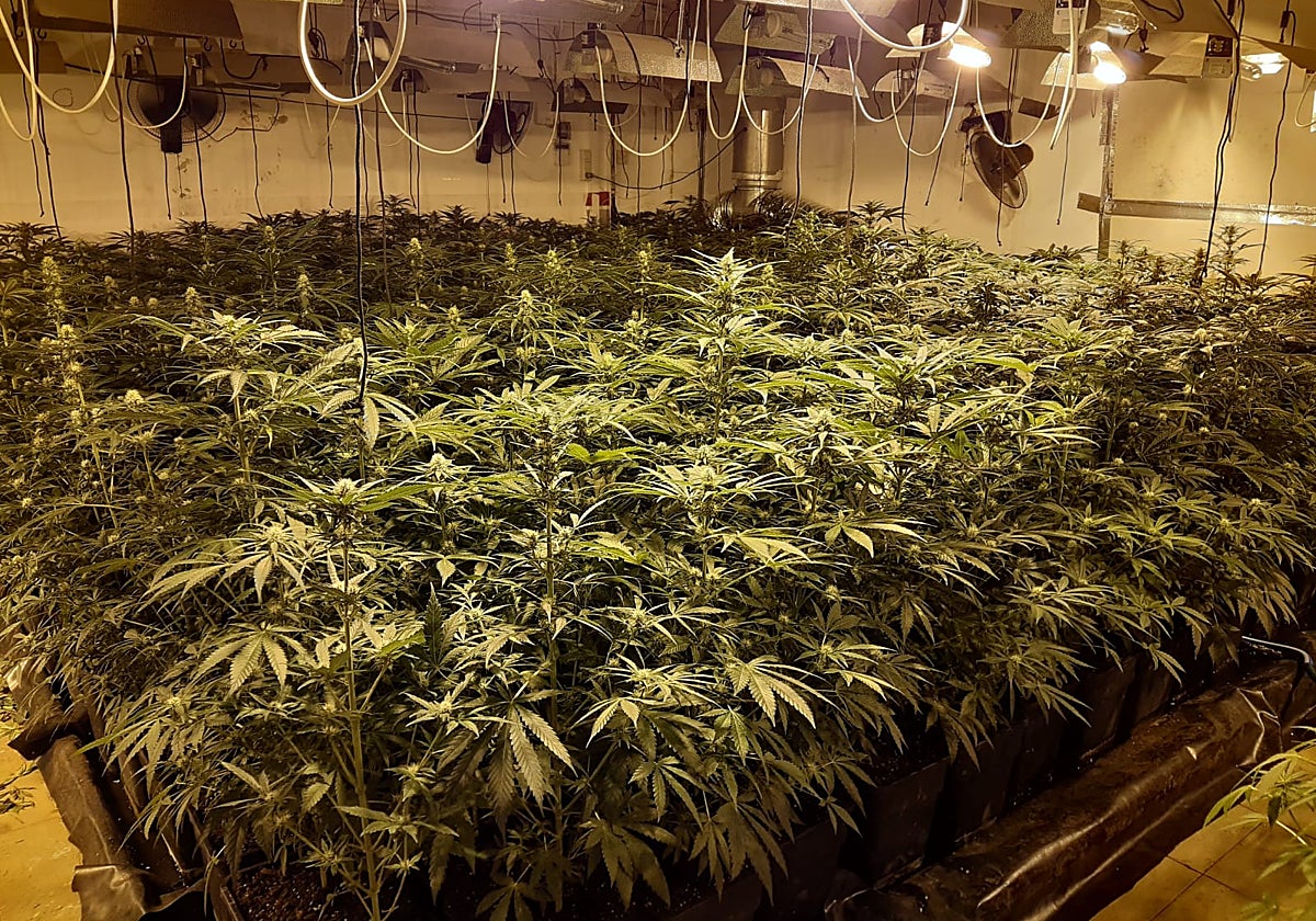 Katja krasavice nackt only fans Net, Katja Krasavice: Fan