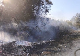 Un incendio de pastos junto al tramo de la A-66 por el Aljarafe dificulta el tráfico pero sin causar atascos