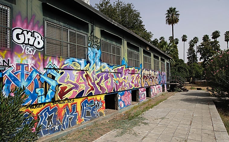 Imagen principal - Las caracolas están rodeadas de maleza y pintadas con grafiti. La alberca es un vertedero lleno de basura y todo el recinto es usado por indigentes