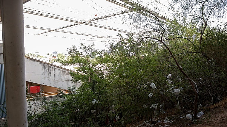 Basura en las inmediaciones del auditorio Rocío Jurado