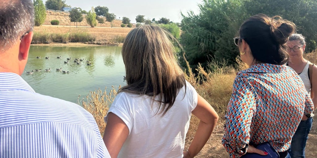 Cierran el parque del Tamarguillo de Sevilla por la muerte de 20 gansos