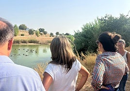 Cierran el parque del Tamarguillo de Sevilla por la muerte de 20 gansos