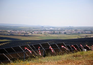 La expansión silenciosa de las megaplantas solares en Sevilla: las empresas duplican la potencia instalada en dos años