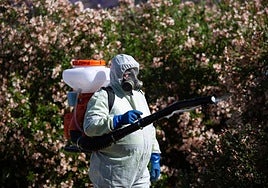 El Pedroso declarado área en alerta por presencia del virus del Nilo