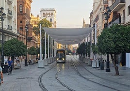 En vídeo: así avanza la sombra de los toldos de la Avenida de la Constitución de Sevilla a lo largo del día