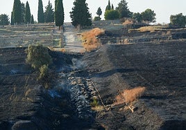 Santiponce convoca un Pleno tras el incendio provocado de Itálica
