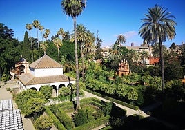Reabren al público los Jardines del Alcázar de Sevilla tras el brote de gripe aviar