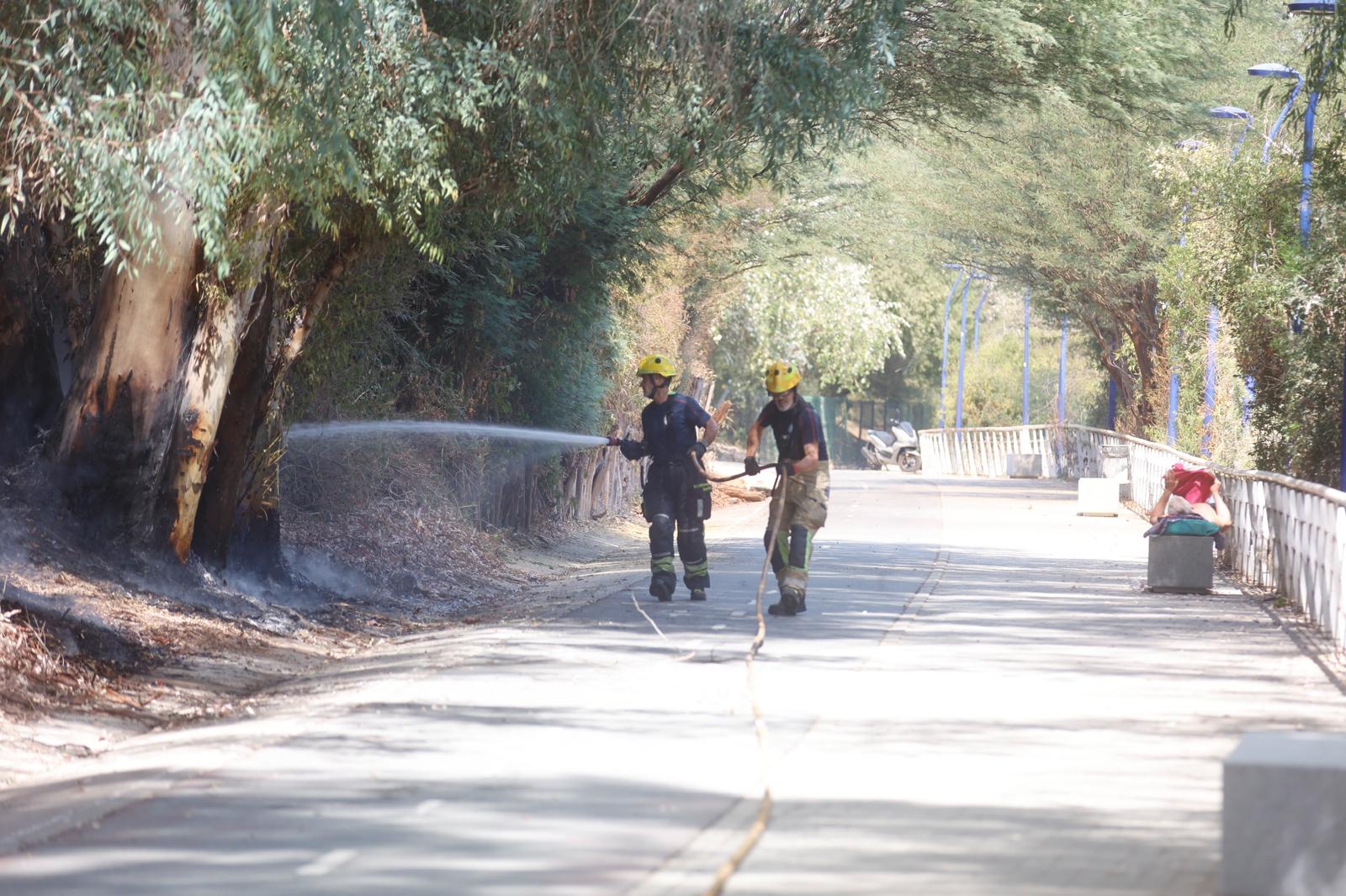 El incendio de la arboleda junto al Auditorio Rocío Jurado de la Cartuja, en imágenes