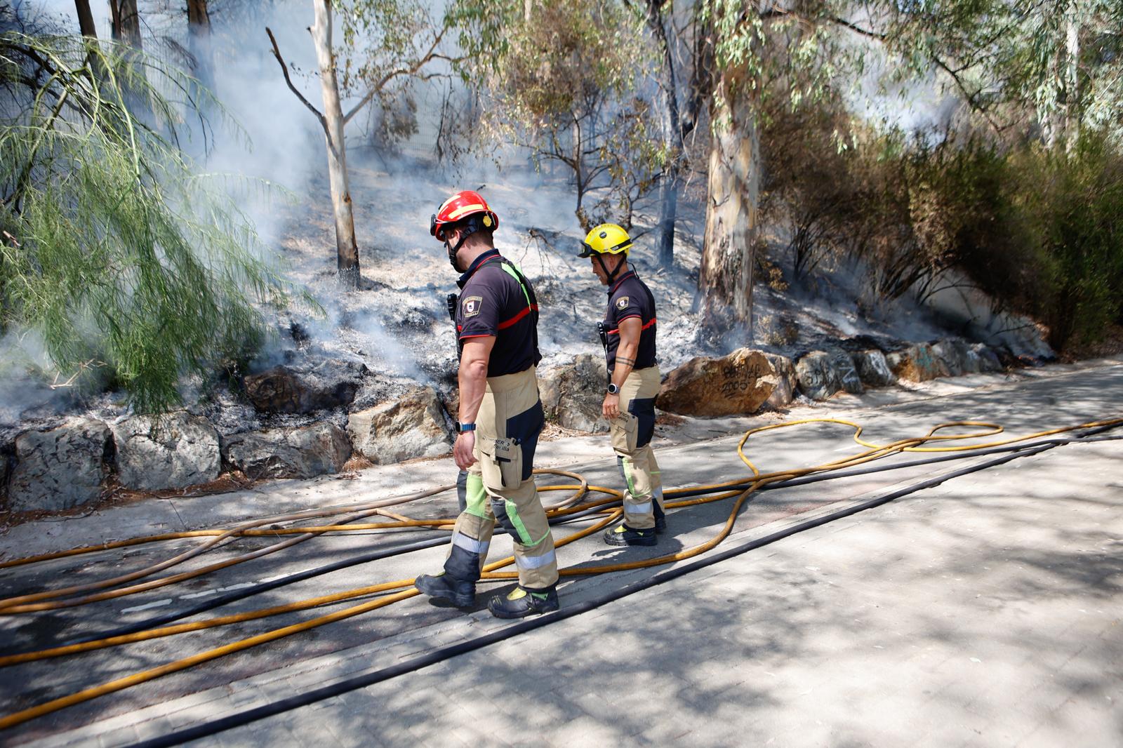 El incendio de la arboleda junto al Auditorio Rocío Jurado de la Cartuja, en imágenes