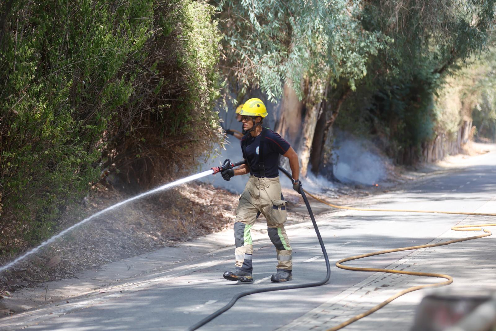 El incendio de la arboleda junto al Auditorio Rocío Jurado de la Cartuja, en imágenes
