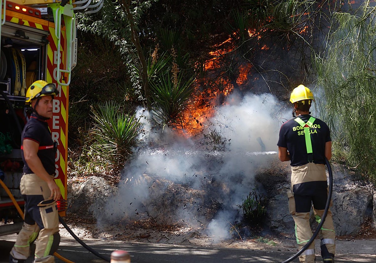 Los bomberos intentan apagar el incendio de la arboleda que está junto al Auditorio Rocío Jurado de la Cartuja