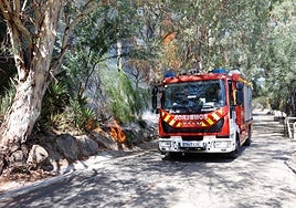 Dos incendios en 25 días vuelven a poner en evidencia la falta de seguridad en la Cartuja