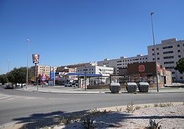 La mujer de Rafael Pineda fue la única que ofertó para hacerse con el uso de la parcela del Higuerón