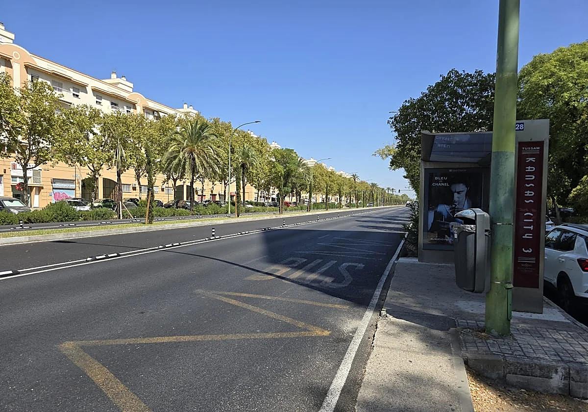 Los separadores del carril del tranvibús ya son visibles en Kansas City