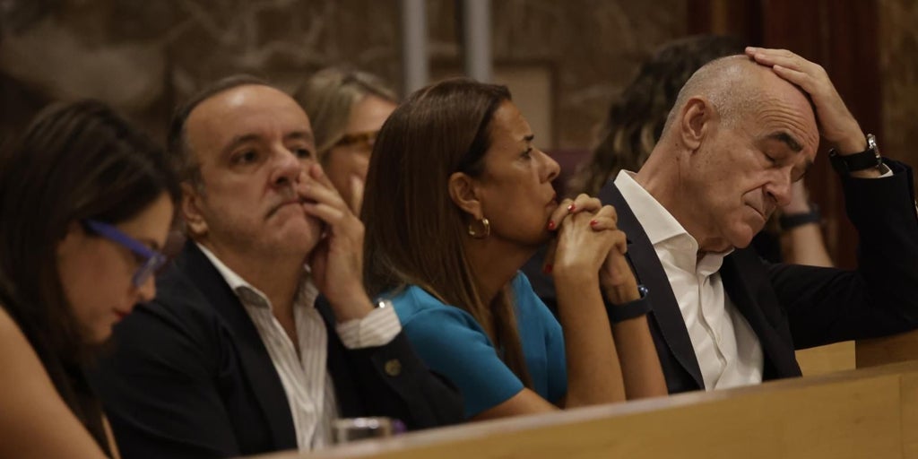 Nervios en el PSOE por la pregunta en el Pleno sobre la parcela de la mujer de Rafael Pineda