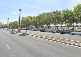 La calle Torneo perderá dos carriles por las obras de mejora de su mediana