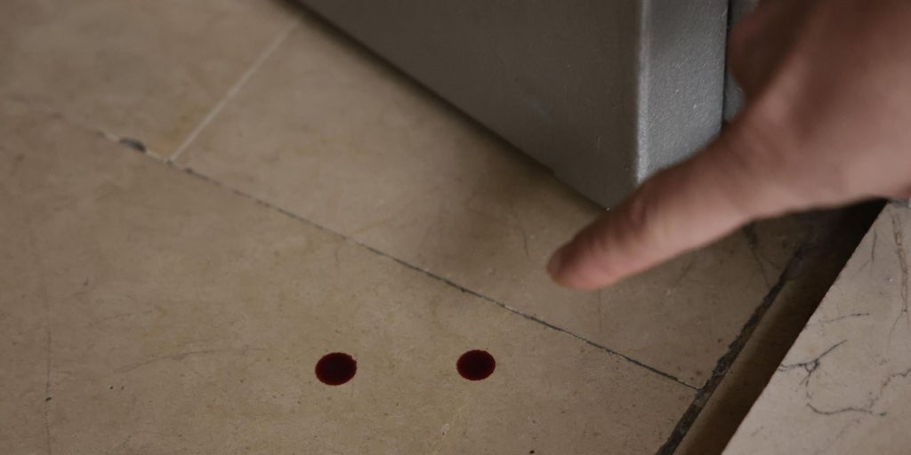 La víctima del crimen machista de Sevilla Este figuraba en el sistema Viogén por «episodios anteriores» pero no había denunciado a su pareja