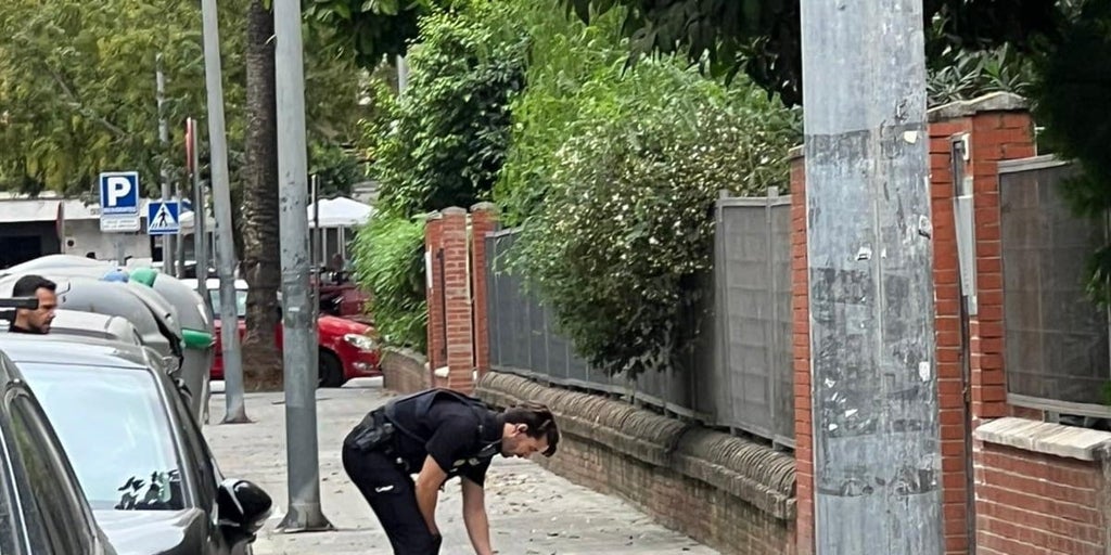 Detienen por una agresión sexual a un joven que fue retenido por vecinos de Los Remedios