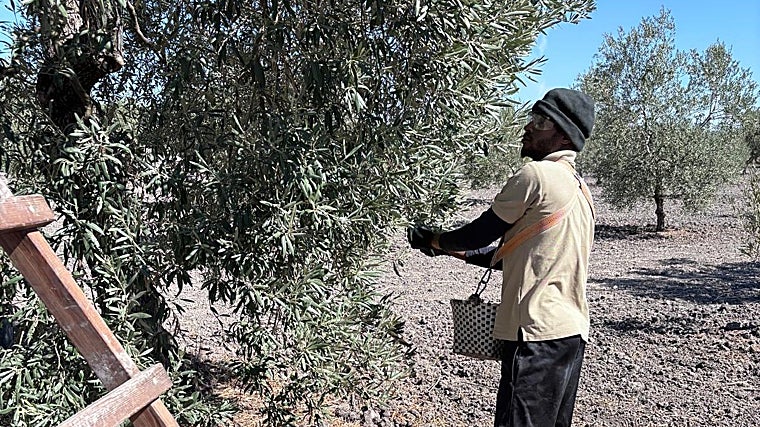Uno de los jóvenes migrantes que ha realizado el curso para aprender a verdear