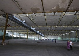 Insur levantará un barrio en las naves de Hytasa con una torre de más de 20 plantas