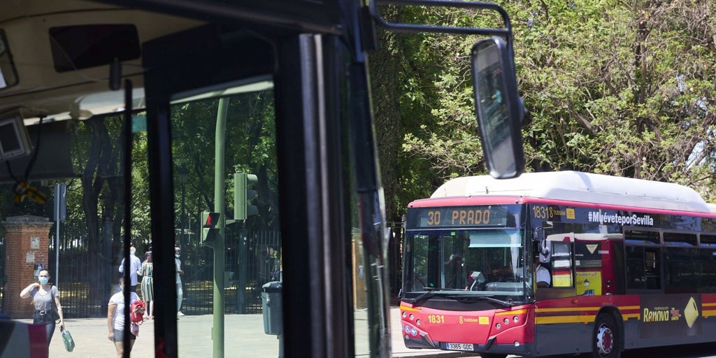 El conductor de Tussam agredido a puñetazos y con el 'mataleón': «Me han dejado sin respirar y he dado con la cabeza en el suelo. Esto no se lo deseo a nadie»