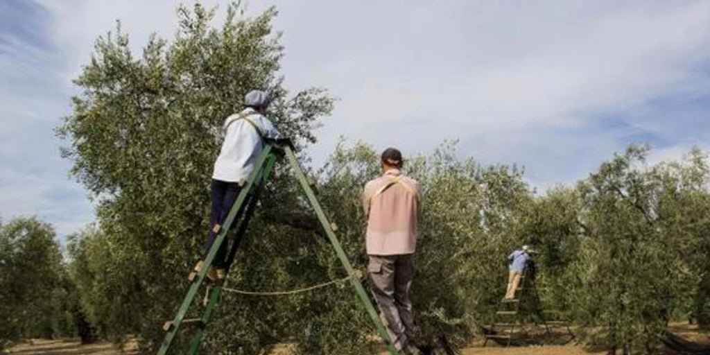 El campo y la construcción tiran del empleo y reducen el paro en casi 200 personas en Sevilla