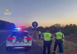 Pillan a un ciclista que circulaba bebido por la autopista AP-4 en Sevilla