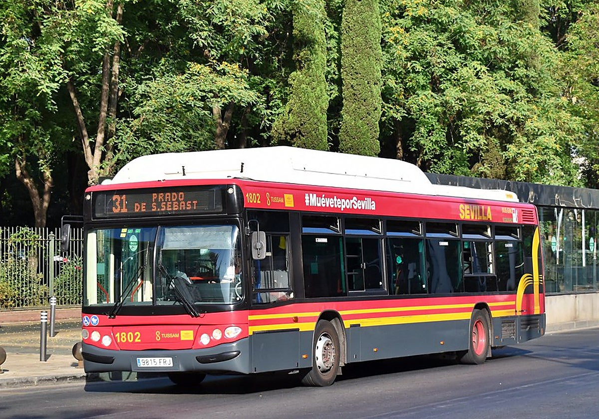 Imagen de un autobús de TUSSAM de la línea 31, una de las que conecta con el Polígono Sur