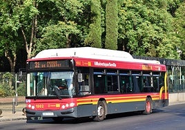 Cómo llegar al Polígono Sur para ver a la Esperanza de Triana: líneas de autobuses y dónde aparcar