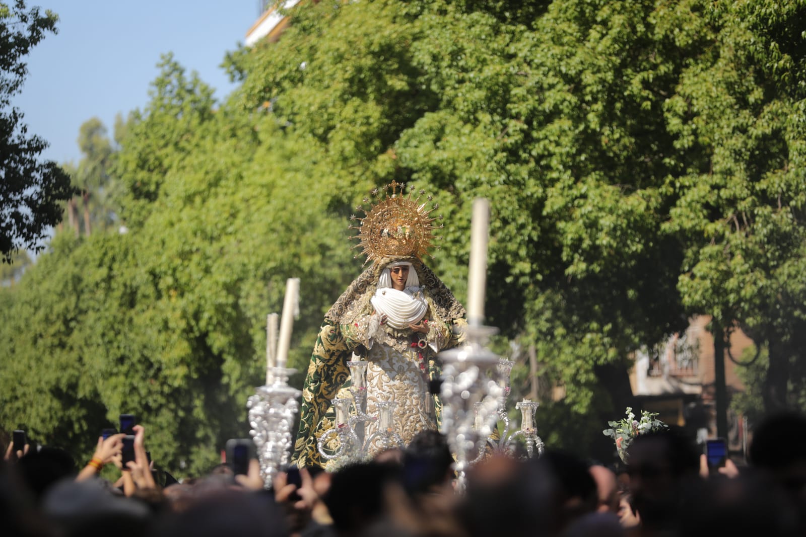Con la arboleda de fondo de la calle Felipe II