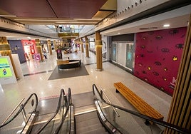 ¿Los comercios deben abrir en domingo? La mitad de los andaluces cree que sí