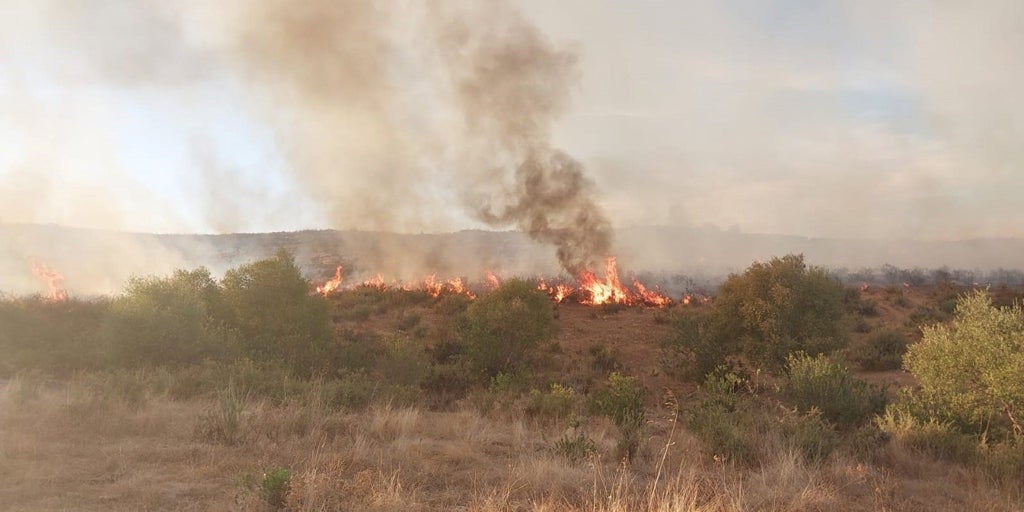 El Infoca amplía a 70 los efectivos desplegados ante el incendio de El Castillo de las Guardas y el viento empieza a remitir