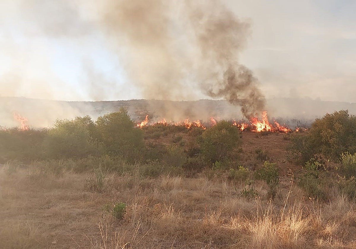 El incendio declarado el pasado viernes en El Castillo de las Guardas