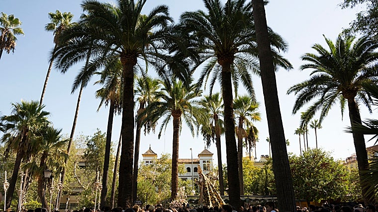 La Esperanza en el Parque de María Luisa