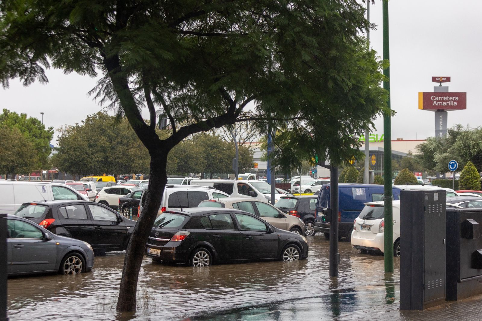Fuertes lluvias en Sevilla: así afecta la borrasca a la ciudad