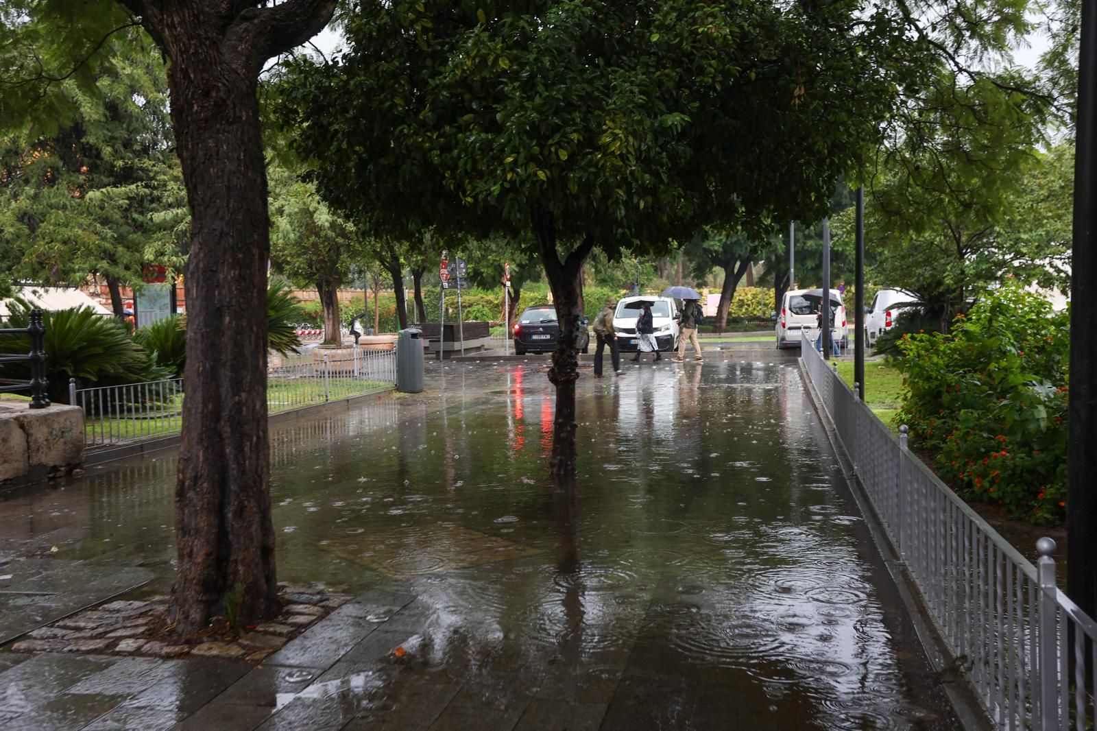 Fuertes lluvias en Sevilla: así afecta la borrasca a la ciudad